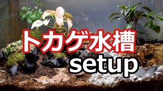 自室に箱庭を作ろう 爬虫類や両生類が育てれるビバリウムの作り方 水の森だより アクアリウムをもっと身近にするメディア