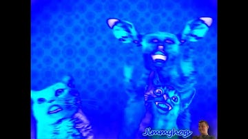 Preview 2 Numa cat 2 effects (sponsored by preview 2 effects) in 4.0 speed