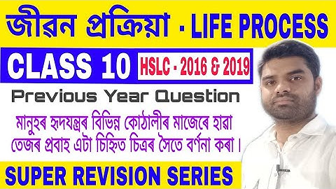 Ch-6 ll Important Question for HSLC Exam ll Class 10 Science chapter 6 Life Process ll