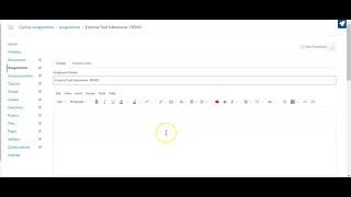 Canvas External Tool General Information