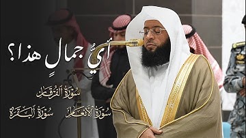 أيُّ جمالٍ هذا؟ | تلاوات جميلة للشيخ بدر التركي | فروض السبت 23-8-1446هـ