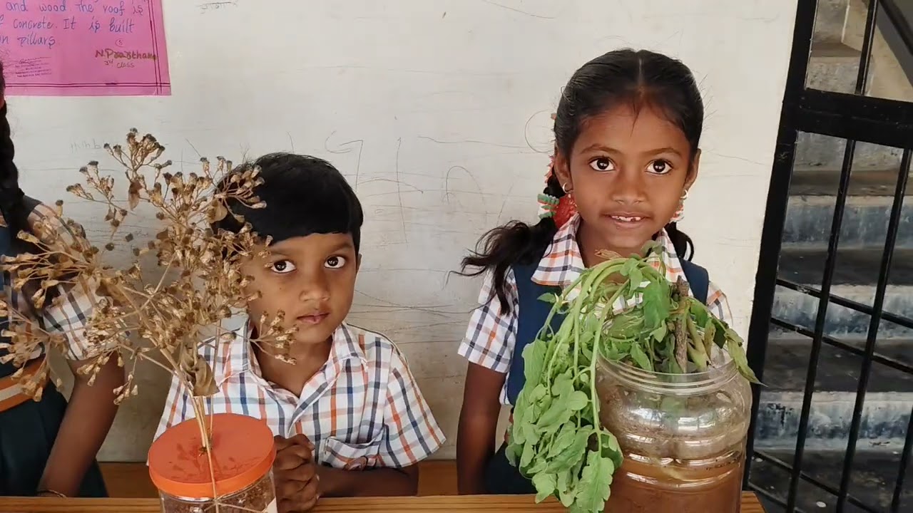 NATIONAL SCIENCE FAIR -2026 -AMARAPURAM 