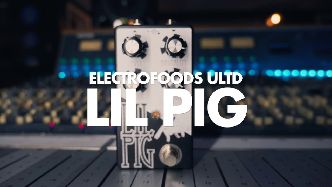 Electrofoods Ultd. Lil Pig || Guitar & Bass Demo || NoiseGenerator
