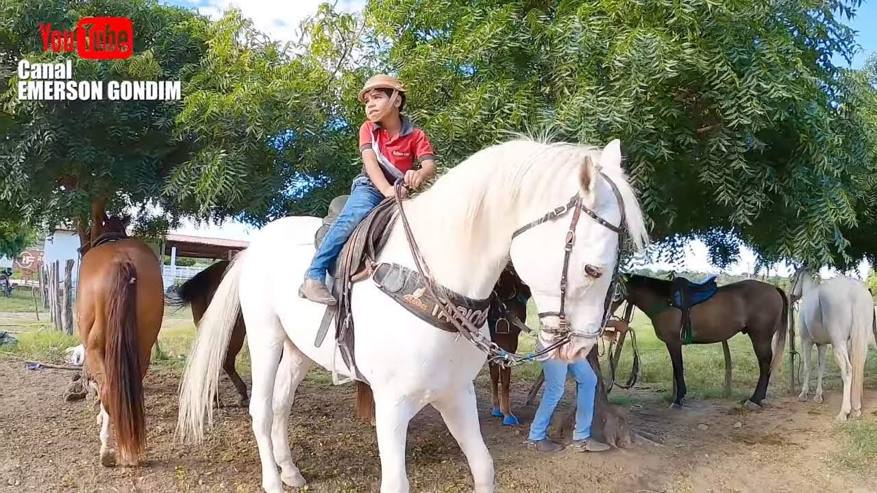 CAMINHANDO A TROPA PELA CIDADE - HARAS PARQUE GUARANI (PARTE 01)