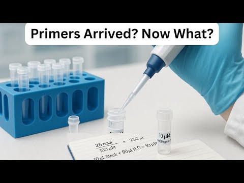 You Got Your PRIMERS — NOW WHAT? (How to RECONSTITUTE & DILUTE)