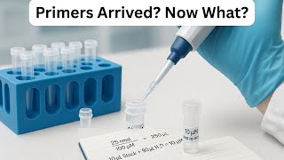 You Got Your Primers—Now What? (How to Reconstitute \u0026 Dilute)