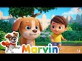 🎵 10 Lustige Tierlieder für Kinder! Singen, Lernen &amp; Tanzen mit Marvin Kinderlieder ✨