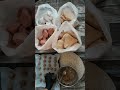 Crunchy Clay Rock Packing Live #chalk #chalkasmr #clay #crunchycrumbles #minerals #asmr #clayvideos