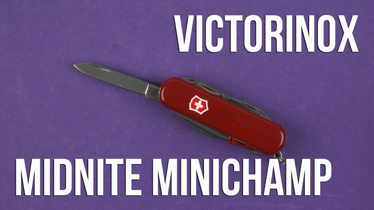 midnite minichamp