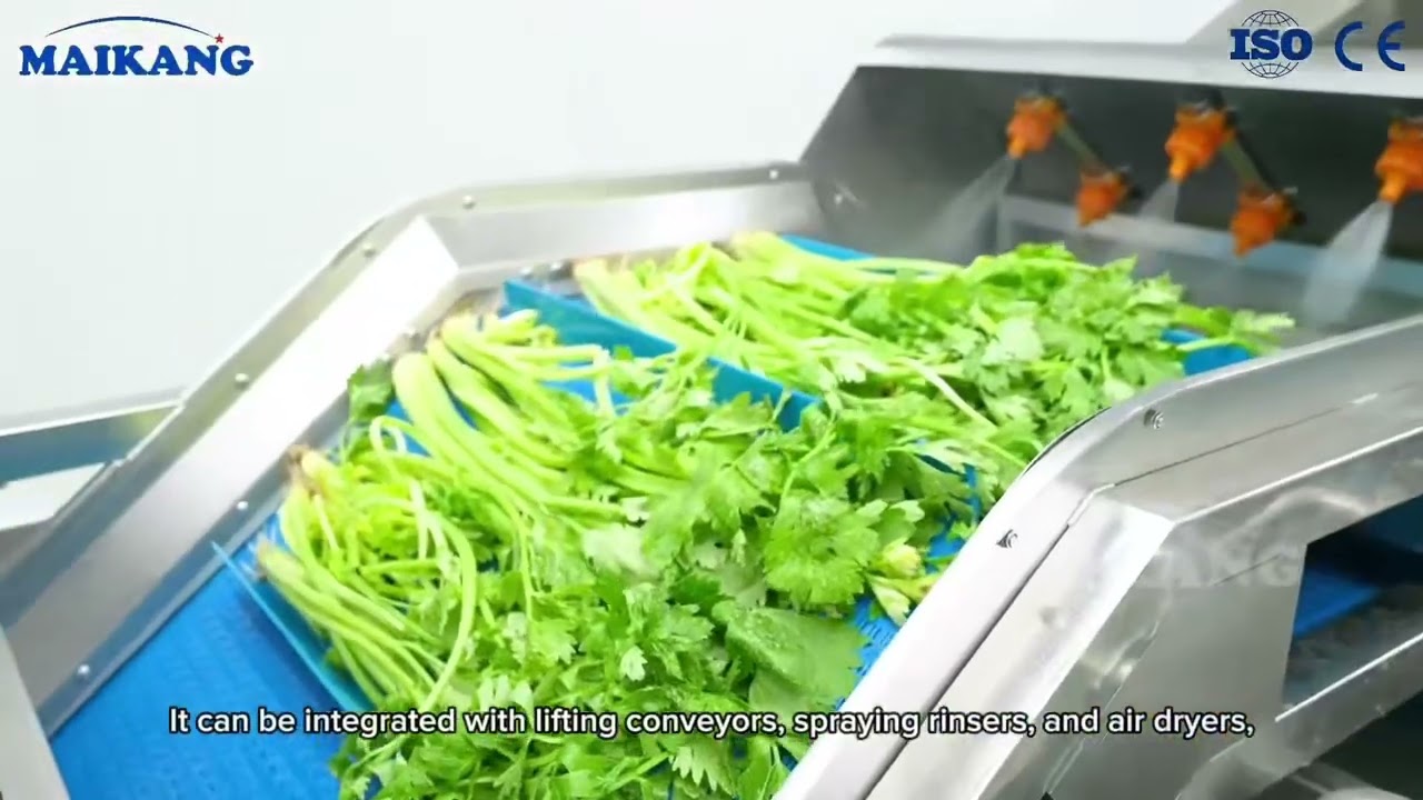 Non-destructive Vegetable Spray Washer