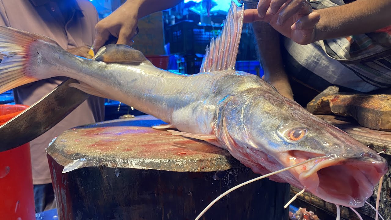 Expert Rita Fish Cutting | Big Fish Cleaning Skills in Fish Market
