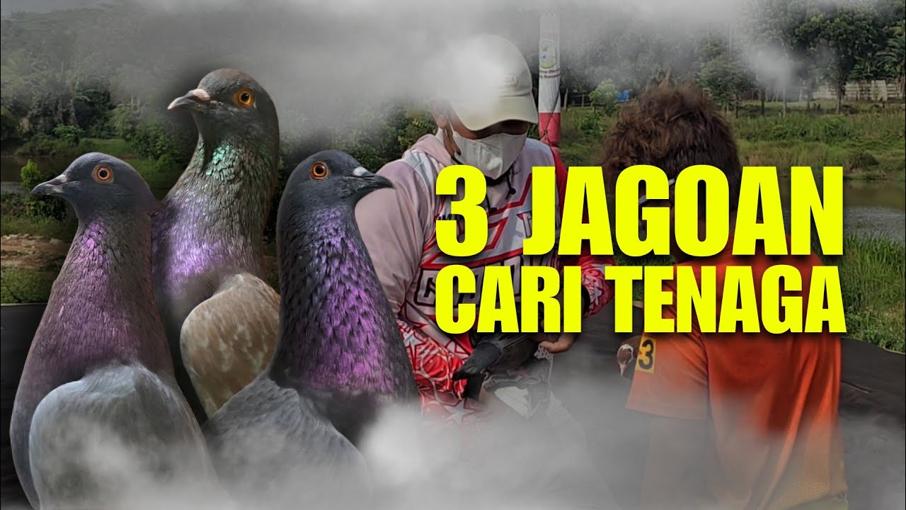 PENCARIAN TENAGA KERA SAKTI GUNCANG BOCIL DI GIRINGAN KE 3