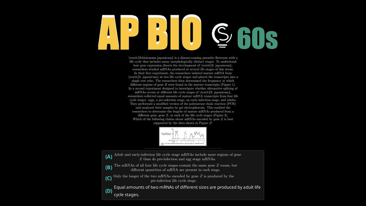 2024 AP Bio Question 29 - Alternative mRNA Splicing and Gel ...
