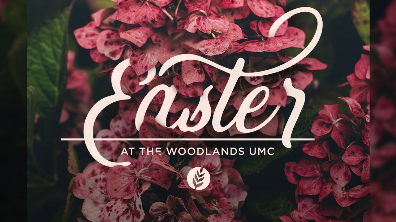 Мини сериал dvd. The following sunday. The following sunday. The following sunday. The following сериал.