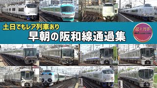 【JR西日本】土曜早朝の阪和線通過集2024.4【続々列車】