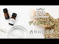 【アロマオイル】ディルシード【香りの食リポ付】