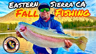 Fall Trophy Trout Fishing in the Eastern Sierra ca | Mammoth Lakes | Upper Owens River |