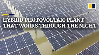 China’s first hybrid photovoltaic plant generates power day and night using solar and tidal power