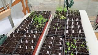 FarmBot First Test