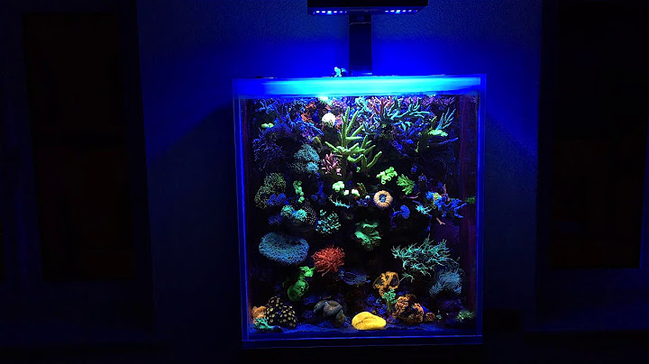 Das ist die neue Jebao-ATI  LED AL150