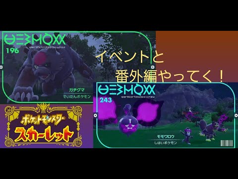 桃のやつとガチグマやってくぞ！！【ポケットモンスター】