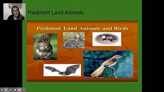 Piedmont Region