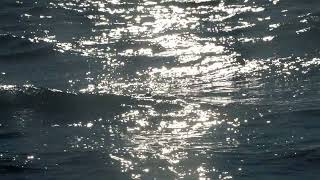 🌊 Ocean Waves Study Music — 0.5 Hour Deep Focus Instrumental | No Vocals, No Distractions