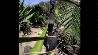 Kim In Lama, Manda And Nairobi - Part 5