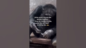 Time Tracking vs Real Results  VA Productivity Check #shorts