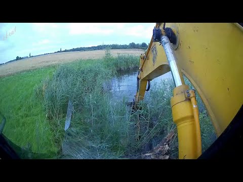 Видео: Ускоренная очистка заросшего пруда