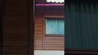 Boa noite Deus abençoe sempre vc sua família #motivacional #vidaeterna #reflexão #luzdecristo #jesus
