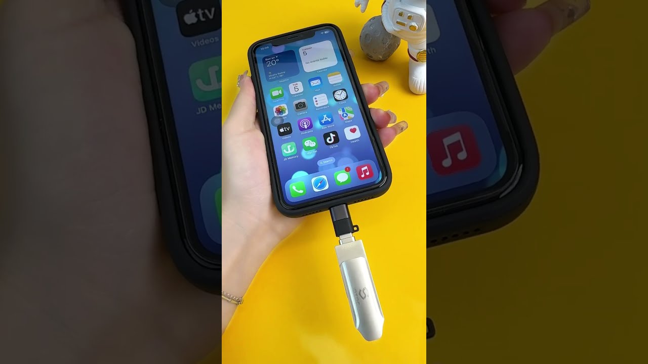 USB C to Lightning Adapter