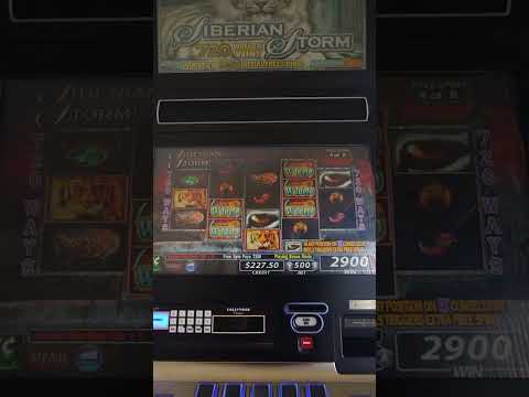 Experience the Thrill of Playing Online Casino Games in English