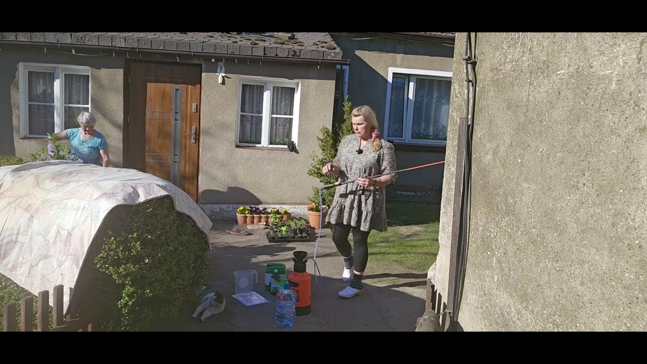 Idą mrozy -wzmacniam drzewka i warzywa