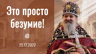 Это просто безумие! Проповедь о. Андрея после Литургии 25 декабря 2022 г.