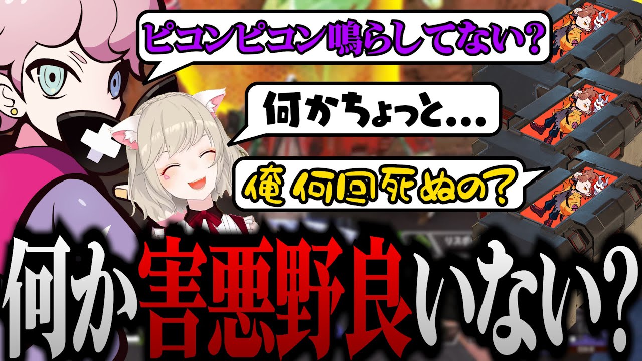 害悪野良と化したありさかに苦労する小森めと&シスコ【 小森めと / ありさか / ふらんしすこ 】