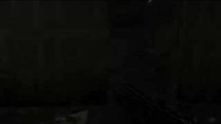 CoD4 lucky shot
