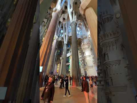 ⭐️ Sagrada Familia Barcelona