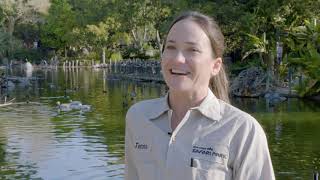 Mombassa Lagoon Cleaning