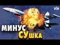 Авиации РФ - конец! Россияне сбивают свои самолеты: птичкопад набирает обороты