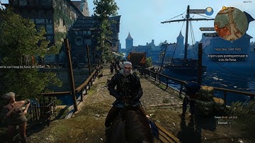Witcher 3 1080 ti 9900k all settings Benchmark