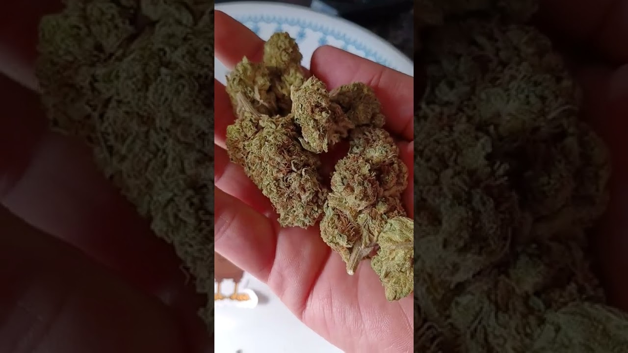 JK Distro Wedding Cake CBD/THCA hemp flower (is it good?)