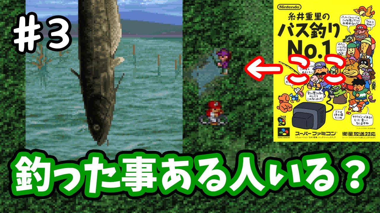 【糸井重里のバス釣りNo.1】♯3～とある場所のレア外道！みんな釣った！？大会も一戦やるよ。～【実況】 - YouTube