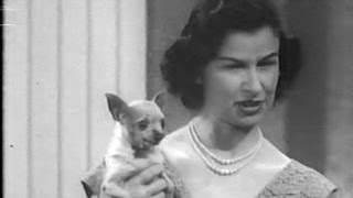 You Bet Your Life #60-13 Mr. Dempsey, the Amazing Talking Chihuahua (Paper, Dec 15, 1960)