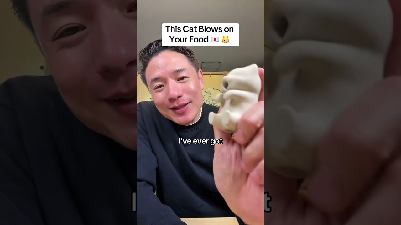 Japan’s Robot Cat That Cools Your Food