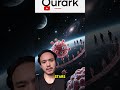 The Scale of Reality: From Quarks to the Cosmic Web