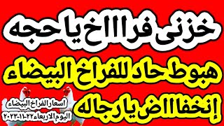 اسعار الفراخ البيضاء اليوم/ سعر الفراخ البيضاء اليوم الاربعاء ٢٢-١١-٢٠٢٣ في مصر