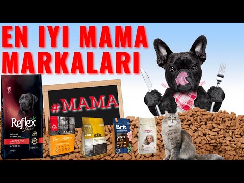 Video: En İyi Evcil Hayvan Mamasını Nasıl Alırsınız?