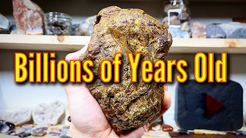 Seeing INSIDE an Ancient Fossil | Cutting Mary Ell...