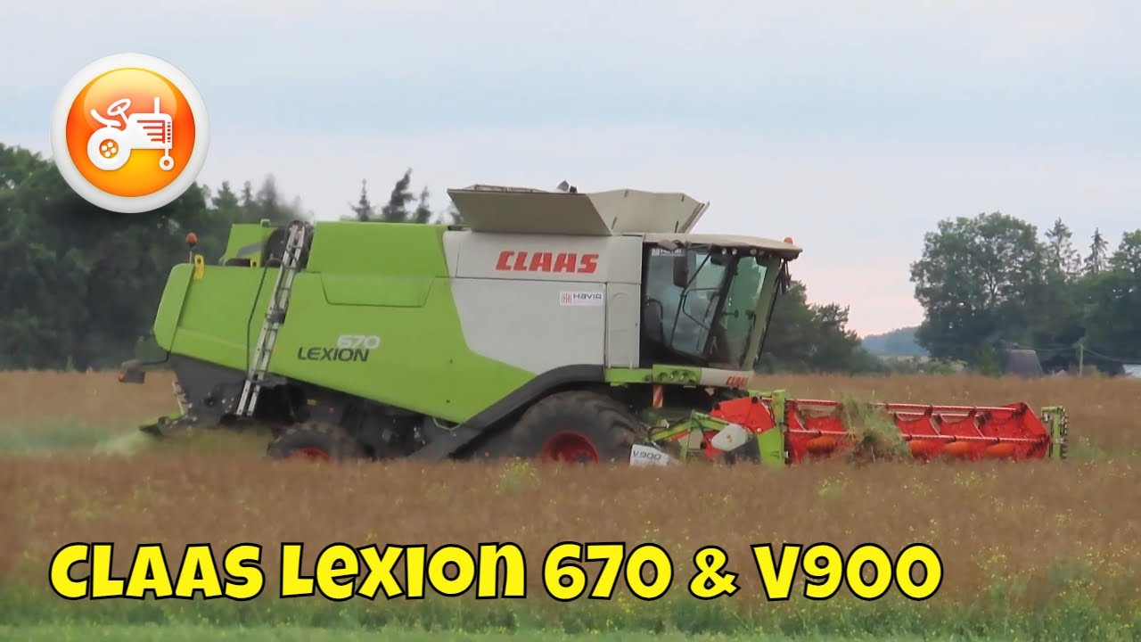 Harvest 2023 | Claas Lexion 670 combine with V900 header